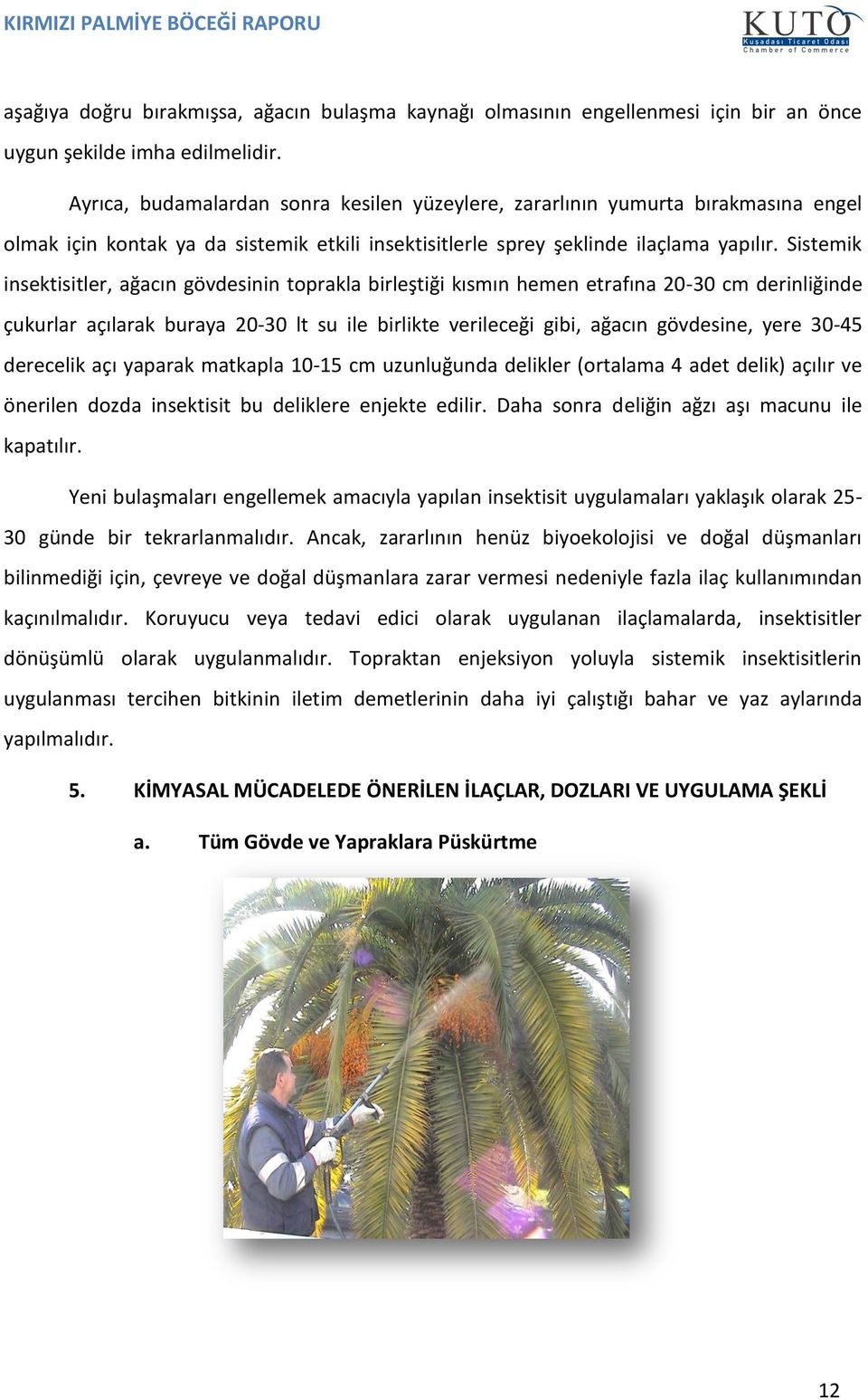 Sistemik insektisitler, ağacın gövdesinin toprakla birleştiği kısmın hemen etrafına 20-30 cm derinliğinde çukurlar açılarak buraya 20-30 lt su ile birlikte verileceği gibi, ağacın gövdesine, yere