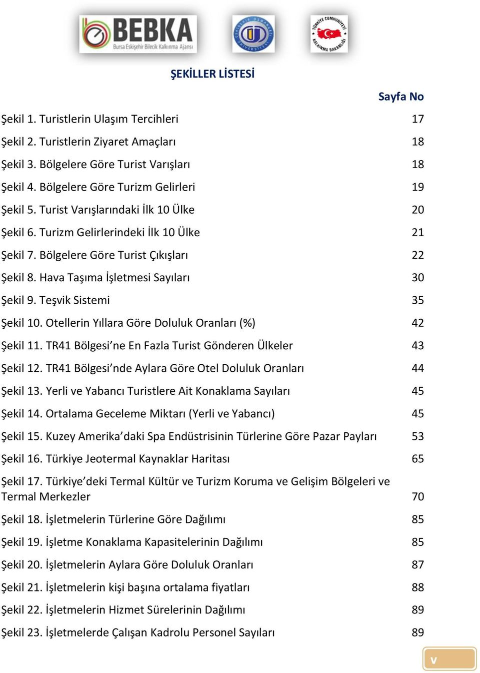 Hava Taşıma İşletmesi Sayıları 30 Şekil 9. Teşvik Sistemi 35 Şekil 10. Otellerin Yıllara Göre Doluluk Oranları (%) 42 Şekil 11. TR41 Bölgesi ne En Fazla Turist Gönderen Ülkeler 43 Şekil 12.