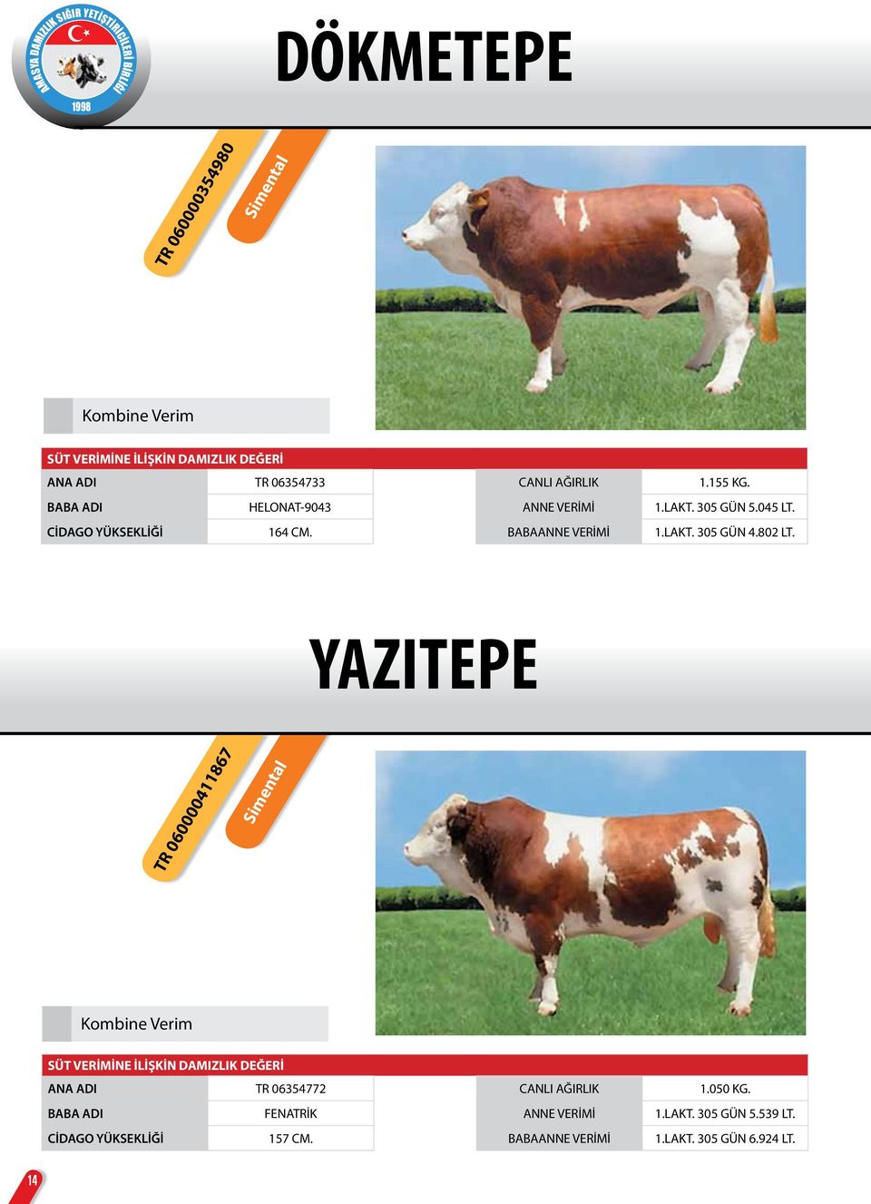 YAZITEPE TR 060000411867 Simental Kombine Verim SÜT VERİMİNE İLİŞKİN DAMIZLIK DEĞERİ ANA ADI TR 06354772 CANLI AĞIRLIK 1.050 KG.