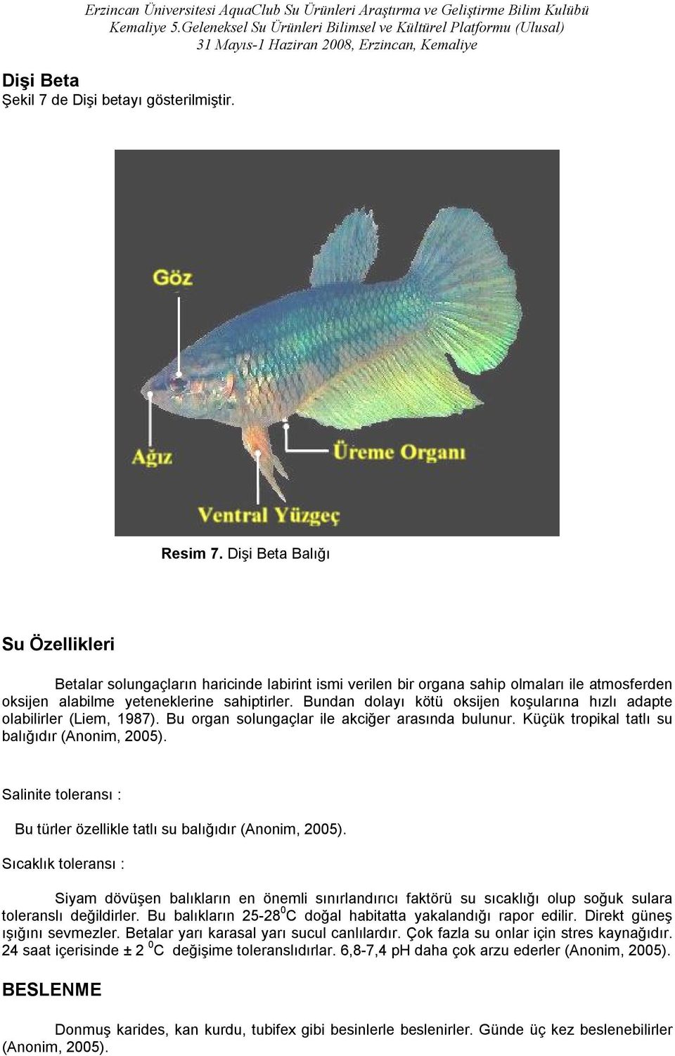 Bundan dolayı kötü oksijen koşularına hızlı adapte olabilirler (Liem, 1987). Bu organ solungaçlar ile akciğer arasında bulunur. Küçük tropikal tatlı su balığıdır (Anonim, 2005).