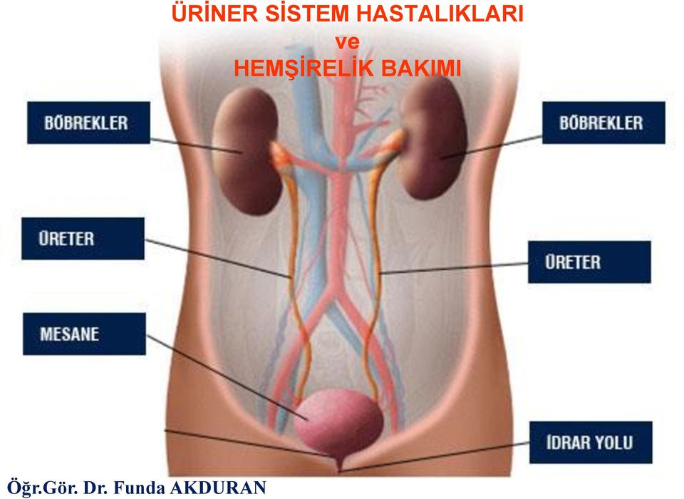 HEMŞİRELİK BAKIMI Öğr.