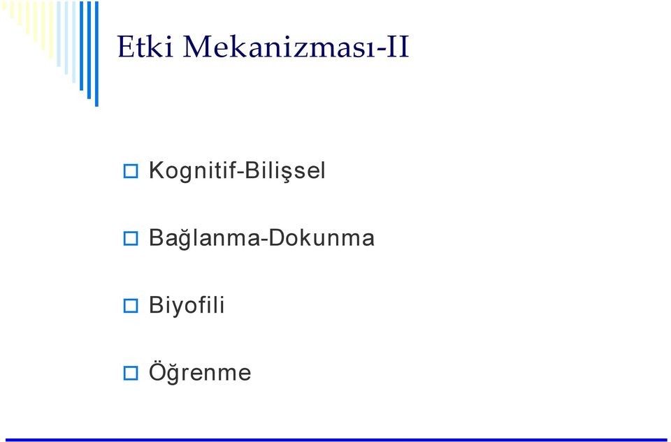 Bilişsel Bağlanma