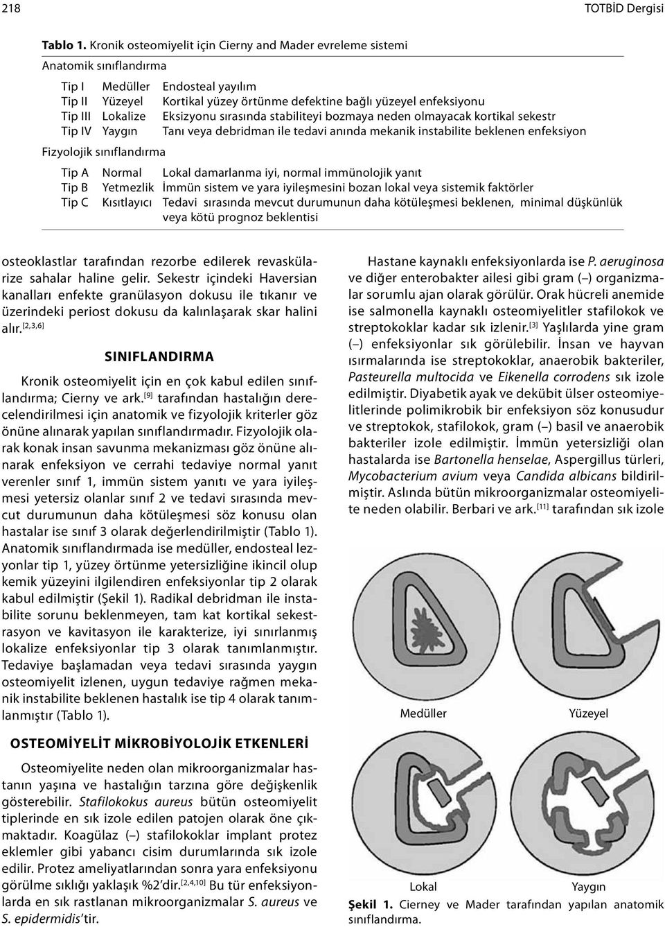 Lokalize Eksizyonu sırasında stabiliteyi bozmaya neden olmayacak kortikal sekestr Tip IV Yaygın Tanı veya debridman ile tedavi anında mekanik instabilite beklenen enfeksiyon Fizyolojik sınıflandırma