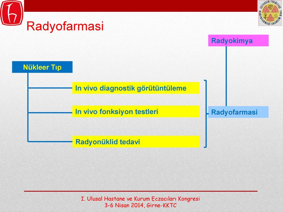 görütüntüleme In vivo fonksiyon