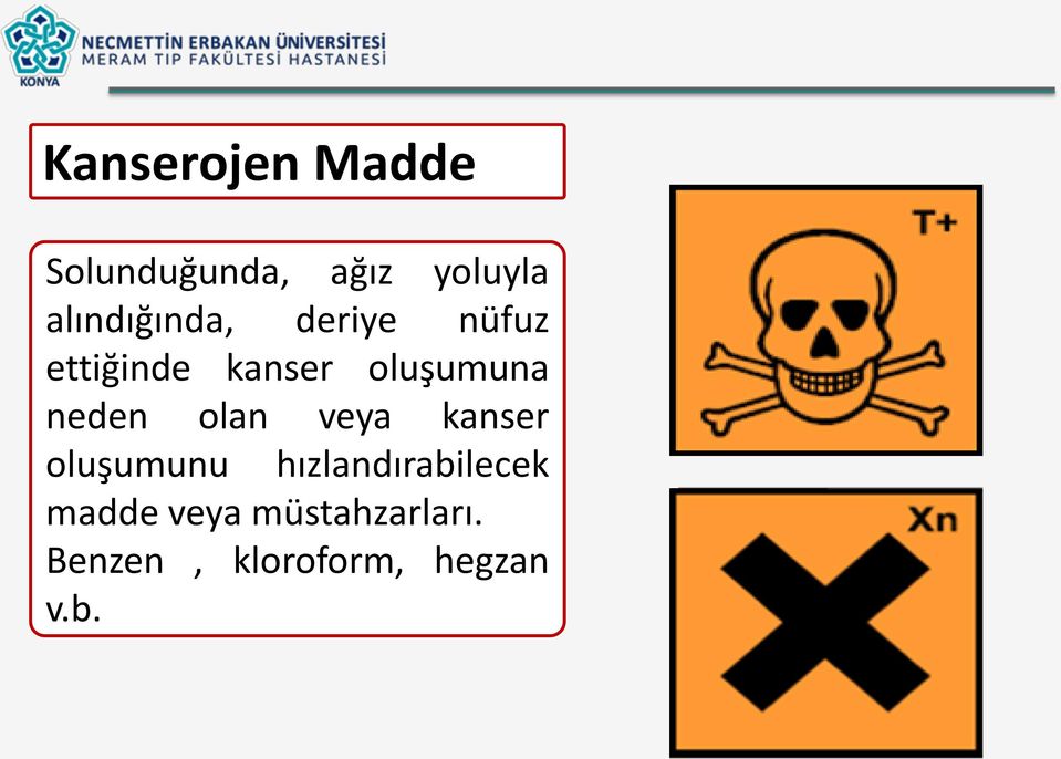 oluşumuna neden olan veya kanser oluşumunu