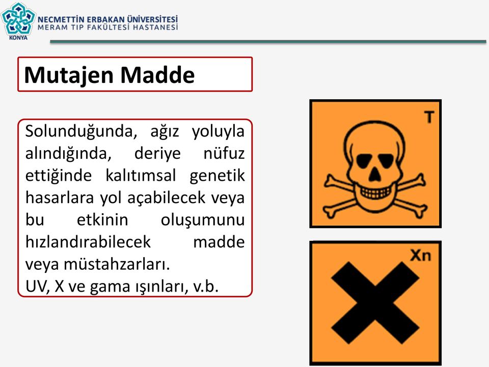 yol açabilecek veya bu etkinin oluşumunu