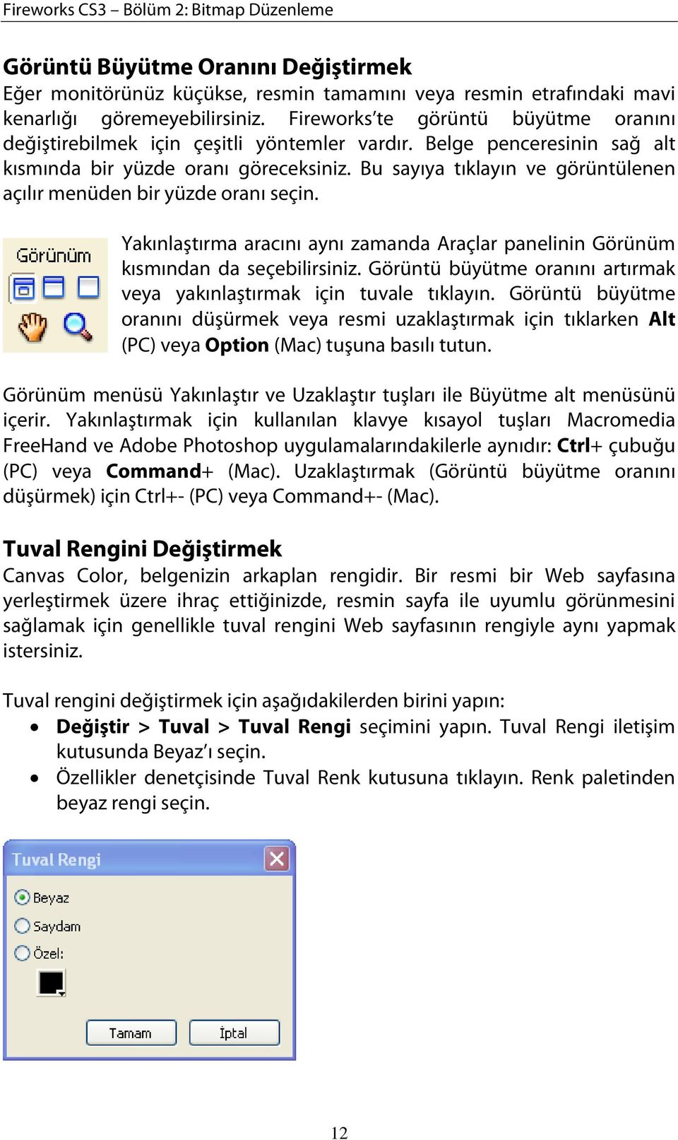 Bu sayıya tıklayın ve görüntülenen açılır menüden bir yüzde oranı seçin. Yakınlaştırma aracını aynı zamanda Araçlar panelinin Görünüm kısmından da seçebilirsiniz.