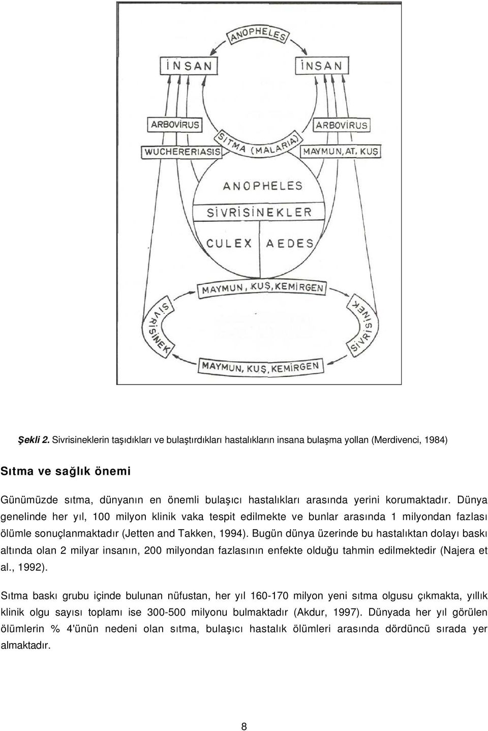 korumaktadır. Dünya genelinde her yıl, 100 milyon klinik vaka tespit edilmekte ve bunlar arasında 1 milyondan fazlası ölümle sonuçlanmaktadır (Jetten and Takken, 1994).