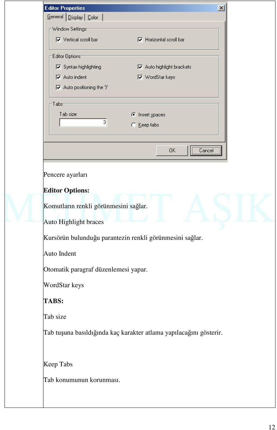 Auto Indent Otomatik paragraf düzenlemesi yapar.