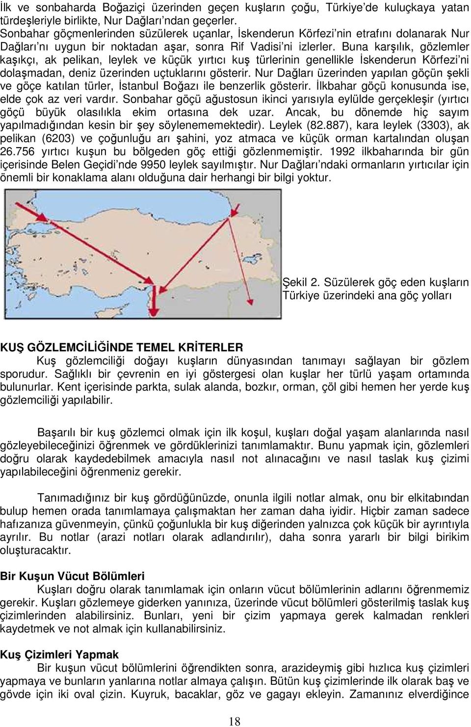 Buna karşılık, gözlemler kaşıkçı, ak pelikan, leylek ve küçük yırtıcı kuş türlerinin genellikle Đskenderun Körfezi ni dolaşmadan, deniz üzerinden uçtuklarını gösterir.