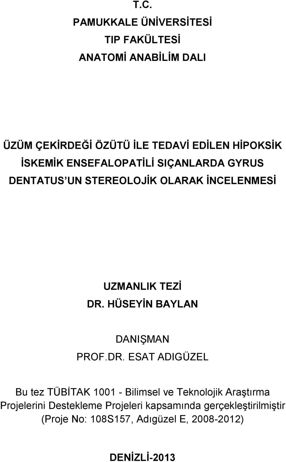 HÜSEYİN BAYLAN DANIŞMAN PROF.DR.