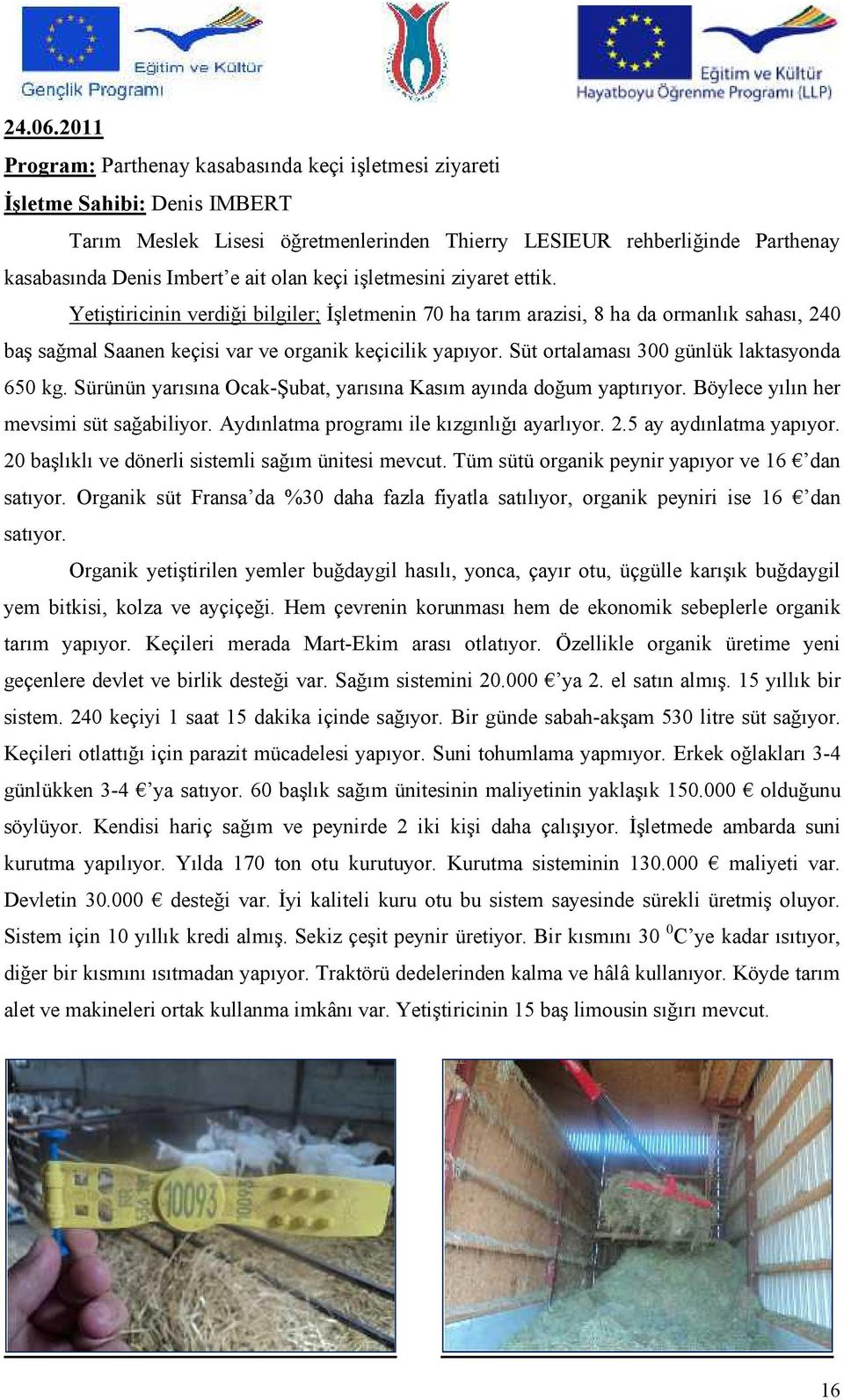 olan keçi işletmesini ziyaret ettik. Yetiştiricinin verdiği bilgiler; İşletmenin 70 ha tarım arazisi, 8 ha da ormanlık sahası, 240 baş sağmal Saanen keçisi var ve organik keçicilik yapıyor.