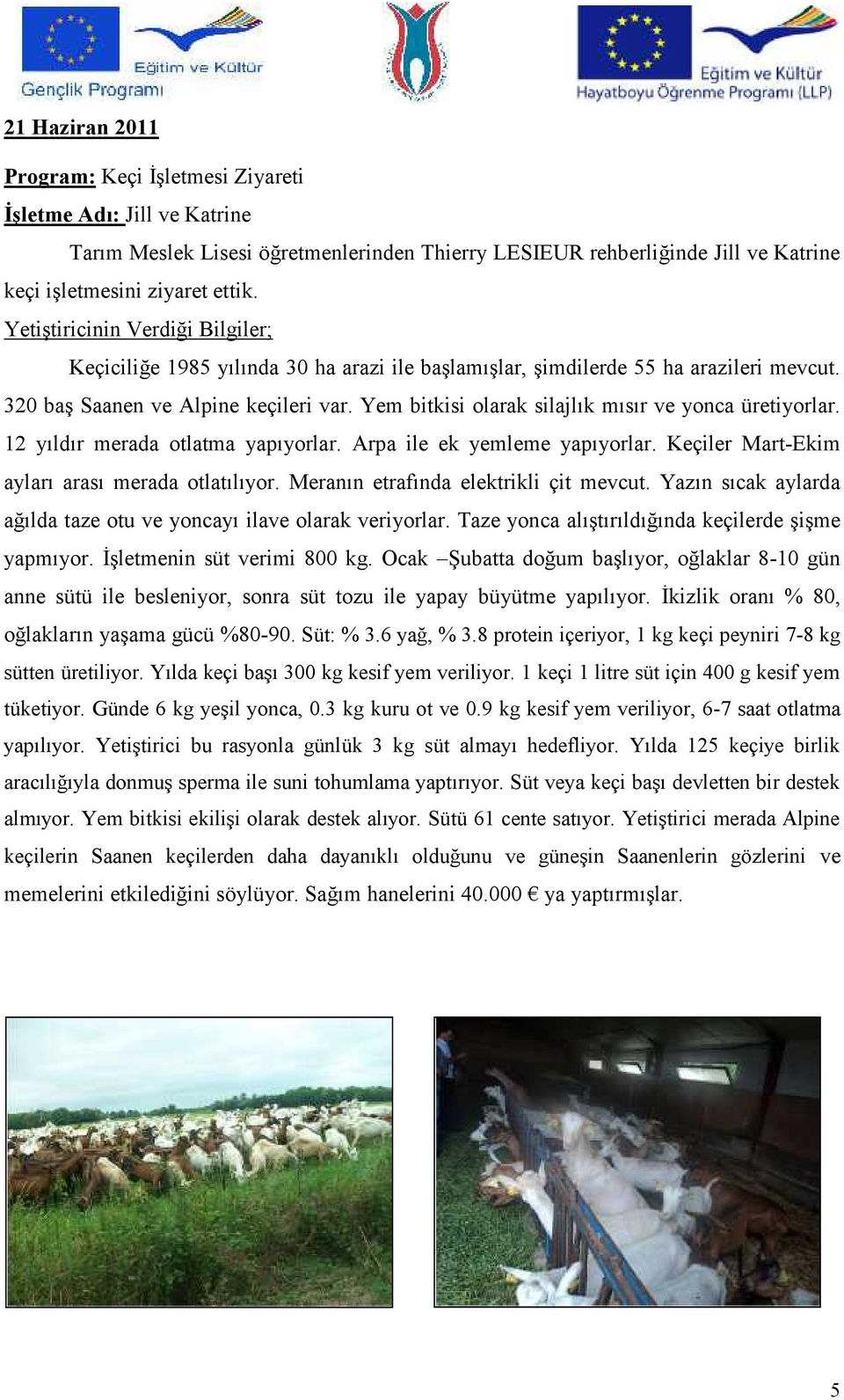 Yem bitkisi olarak silajlık mısır ve yonca üretiyorlar. 12 yıldır merada otlatma yapıyorlar. Arpa ile ek yemleme yapıyorlar. Keçiler Mart-Ekim ayları arası merada otlatılıyor.