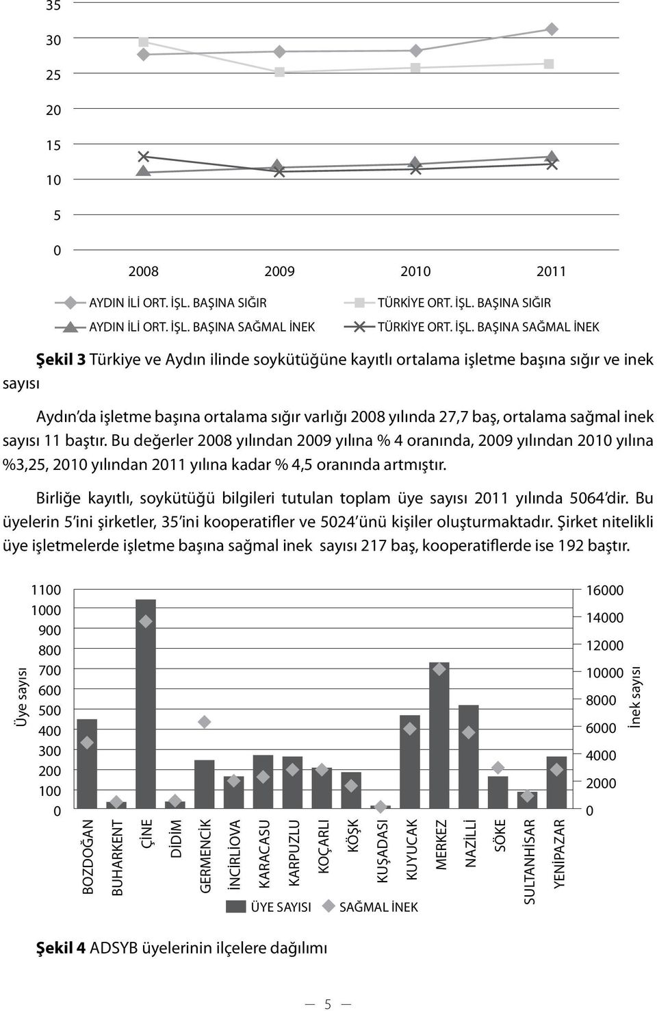 BAŞINA SAĞMAL İNEK TÜRKİYE ORT. İŞL.