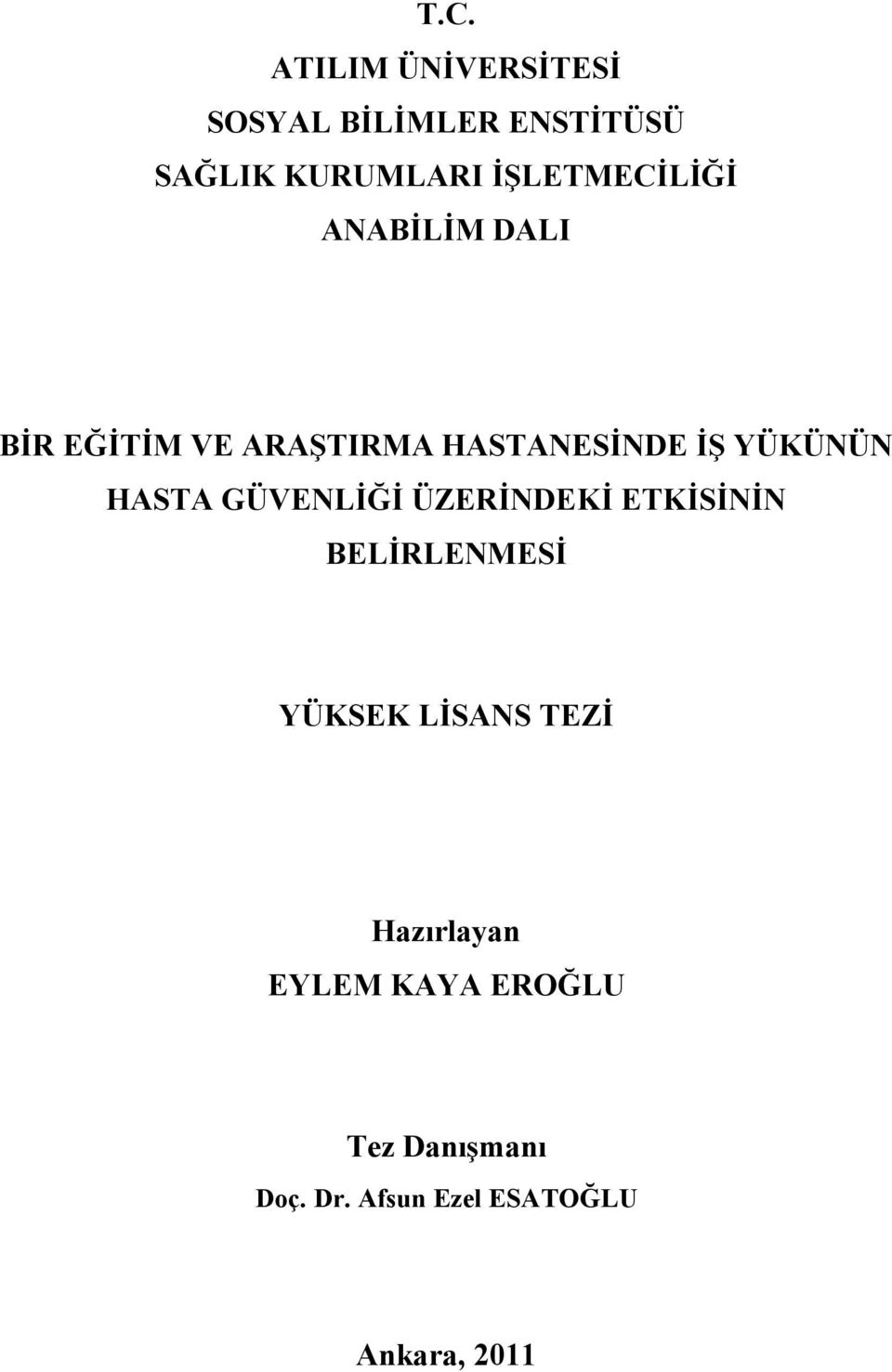 YÜKÜNÜN HASTA GÜVENLİĞİ ÜZERİNDEKİ ETKİSİNİN BELİRLENMESİ YÜKSEK LİSANS