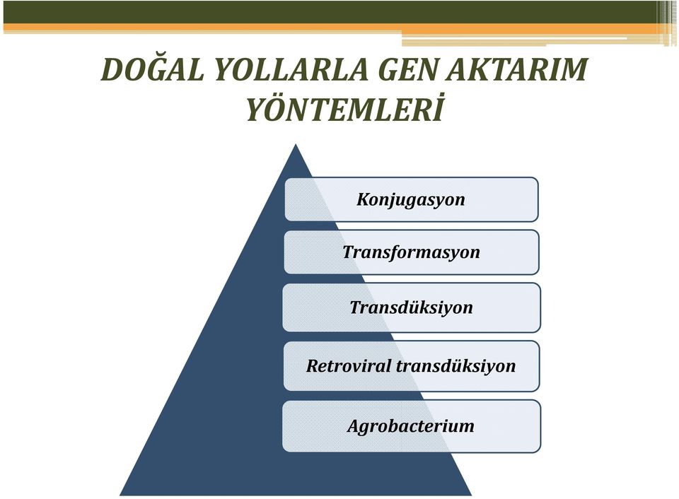 Transformasyon Transdüksiyon