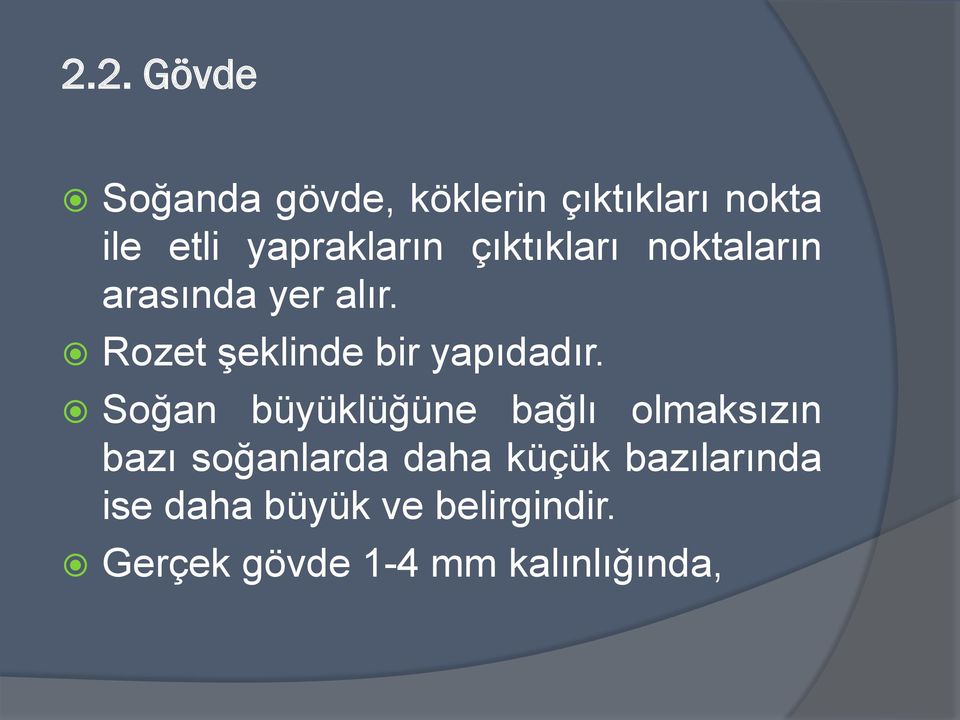 Rozet şeklinde bir yapıdadır.