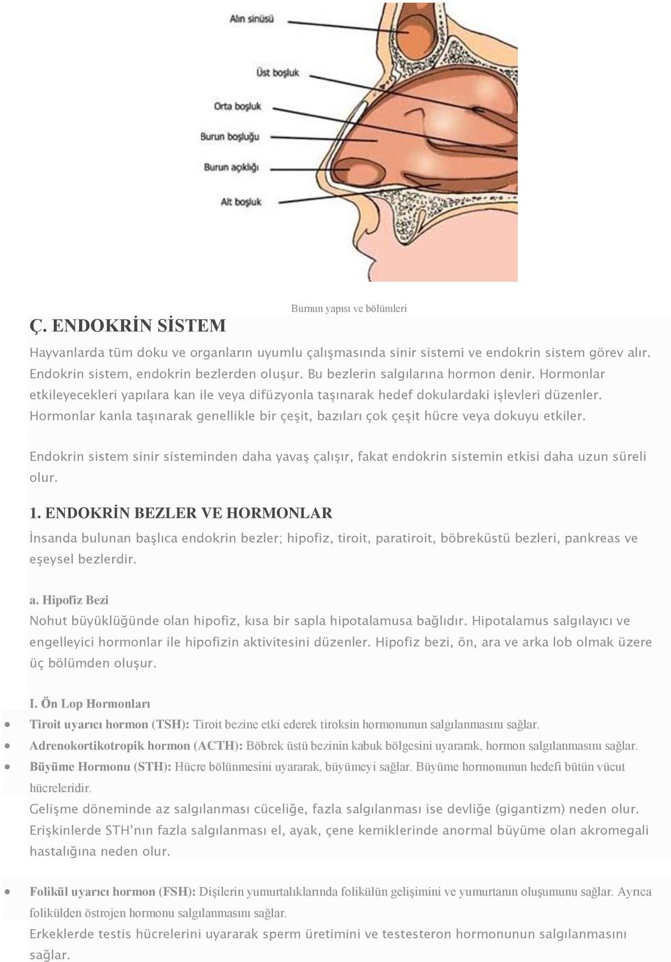 Hormonlar kanla taşınarak genellikle bir çeşit, bazıları çok çeşit hücre veya dokuyu etkiler.