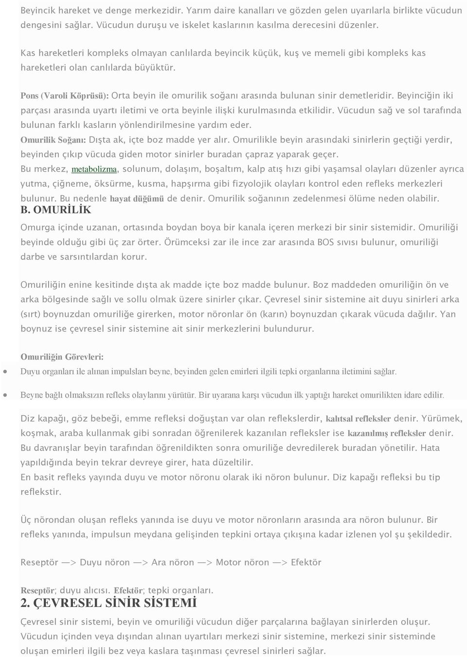 Pons (Varoli Köprüsü): Orta beyin ile omurilik soğanı arasında bulunan sinir demetleridir. Beyinciğin iki parçası arasında uyartı iletimi ve orta beyinle ilişki kurulmasında etkilidir.