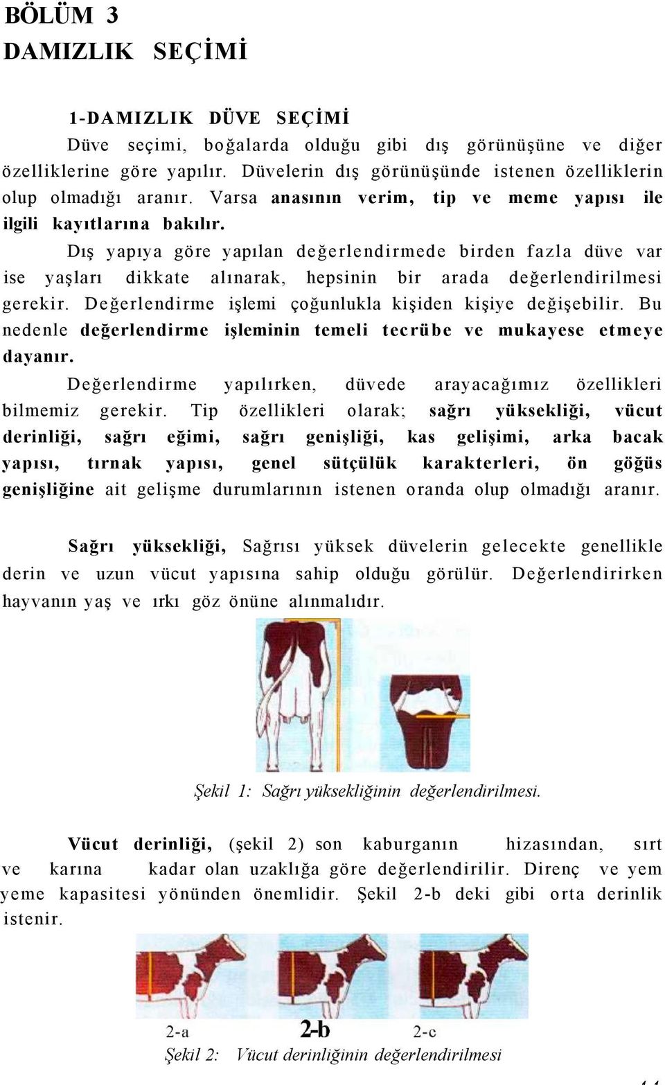 Dış yapıya göre yapılan değerlendirmede birden fazla düve var ise yaşları dikkate alınarak, hepsinin bir arada değerlendirilmesi gerekir. Değerlendirme işlemi çoğunlukla kişiden kişiye değişebilir.