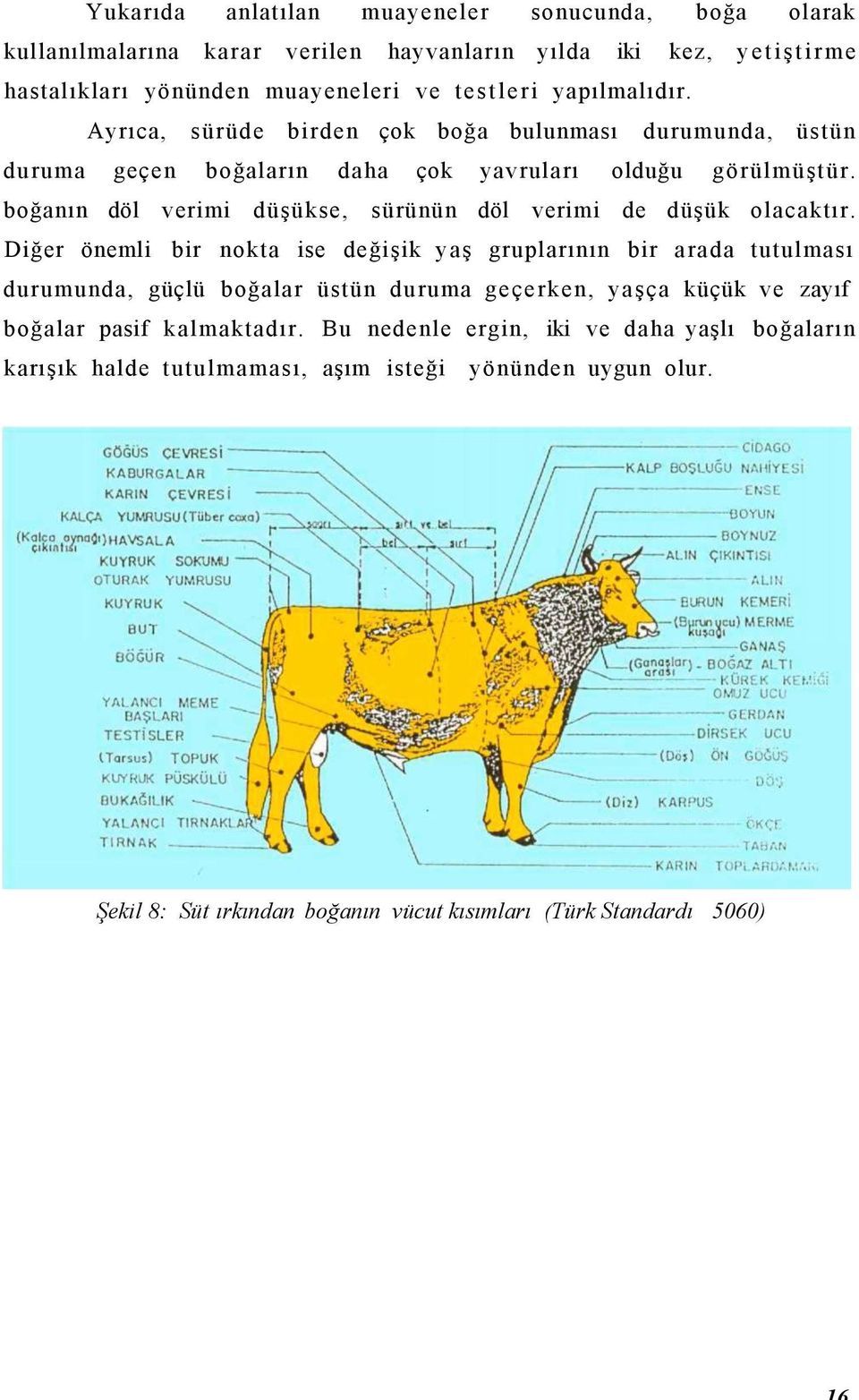 boğanın döl verimi düşükse, sürünün döl verimi de düşük olacaktır.