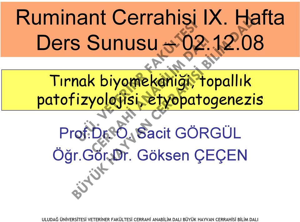 etyopatogenezis Prof.Dr. O. Sacit GÖRGÜL Öğr.Gör.