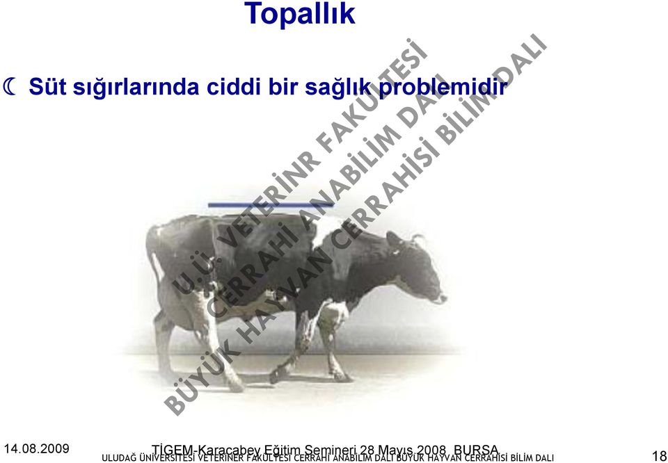 sağlık problemidir