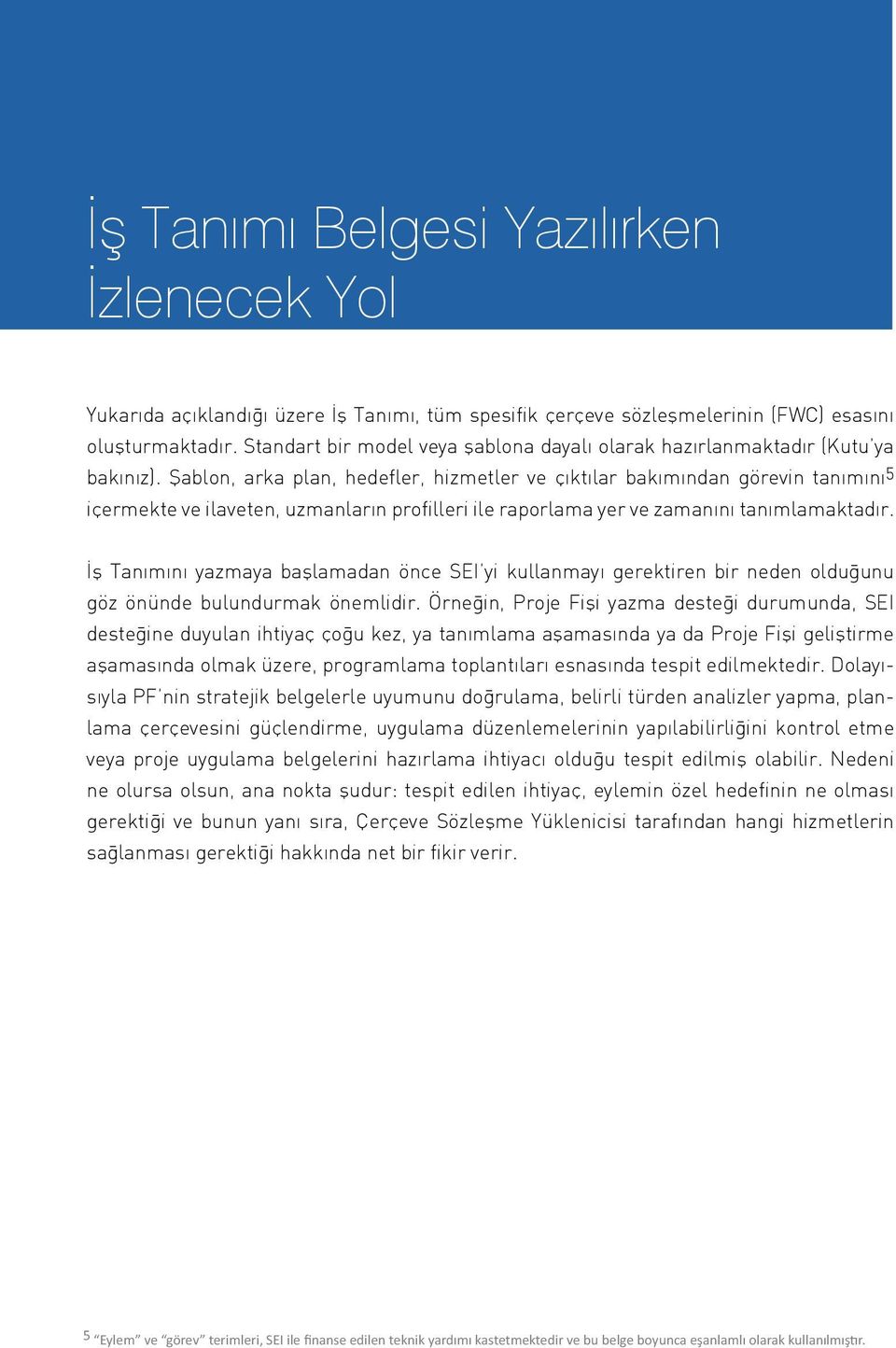 Şablon, arka plan, hedefler, hizmetler ve çıktılar bakımından görevin tanımını 5 içermekte ve ilaveten, uzmanların profilleri ile raporlama yer ve zamanını tanımlamaktadır.