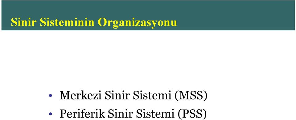 Sinir Sistemi (MSS)