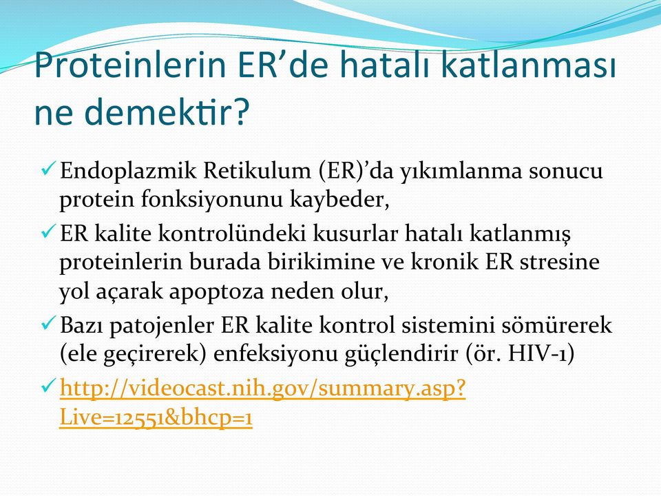 kusurlar hatalı katlanmış proteinlerin burada birikimine ve kronik ER stresine yol açarak apoptoza neden