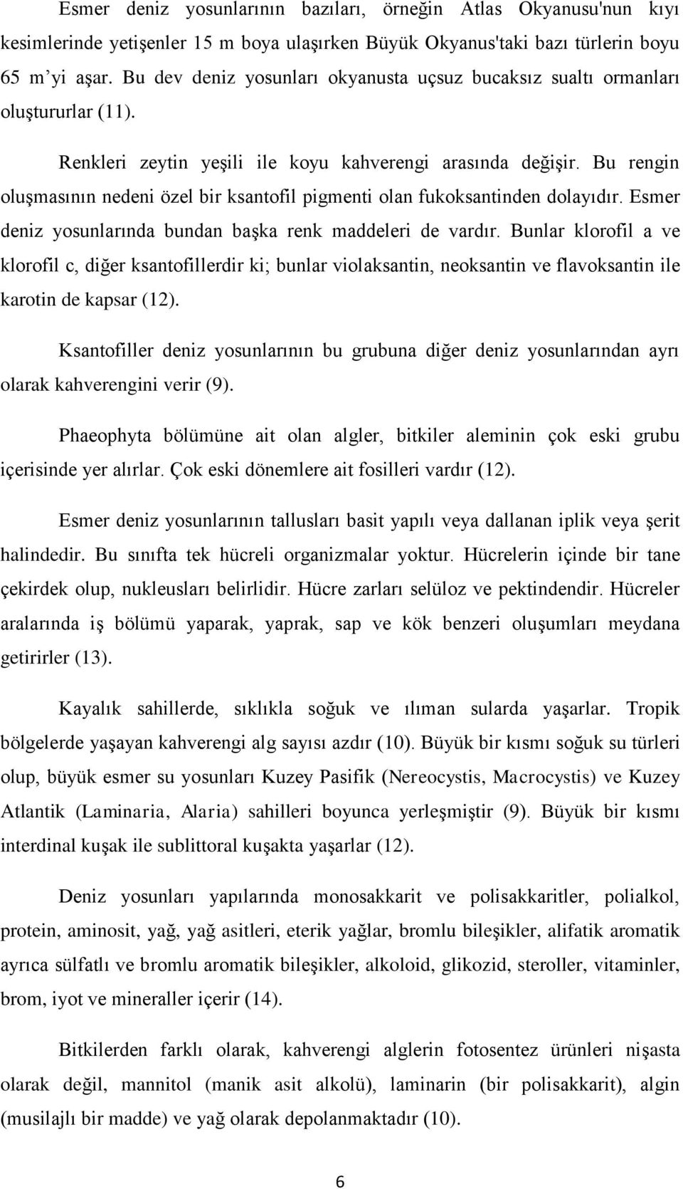 Bu rengin oluşmasının nedeni özel bir ksantofil pigmenti olan fukoksantinden dolayıdır. Esmer deniz yosunlarında bundan başka renk maddeleri de vardır.