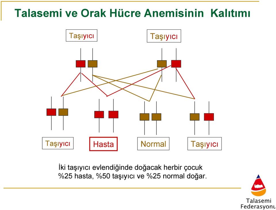 Taşıyıcı İki taşıyıcı evlendiğinde doğacak