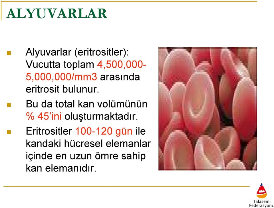 Bu da total kan volümünün % 45 ini oluşturmaktadır.