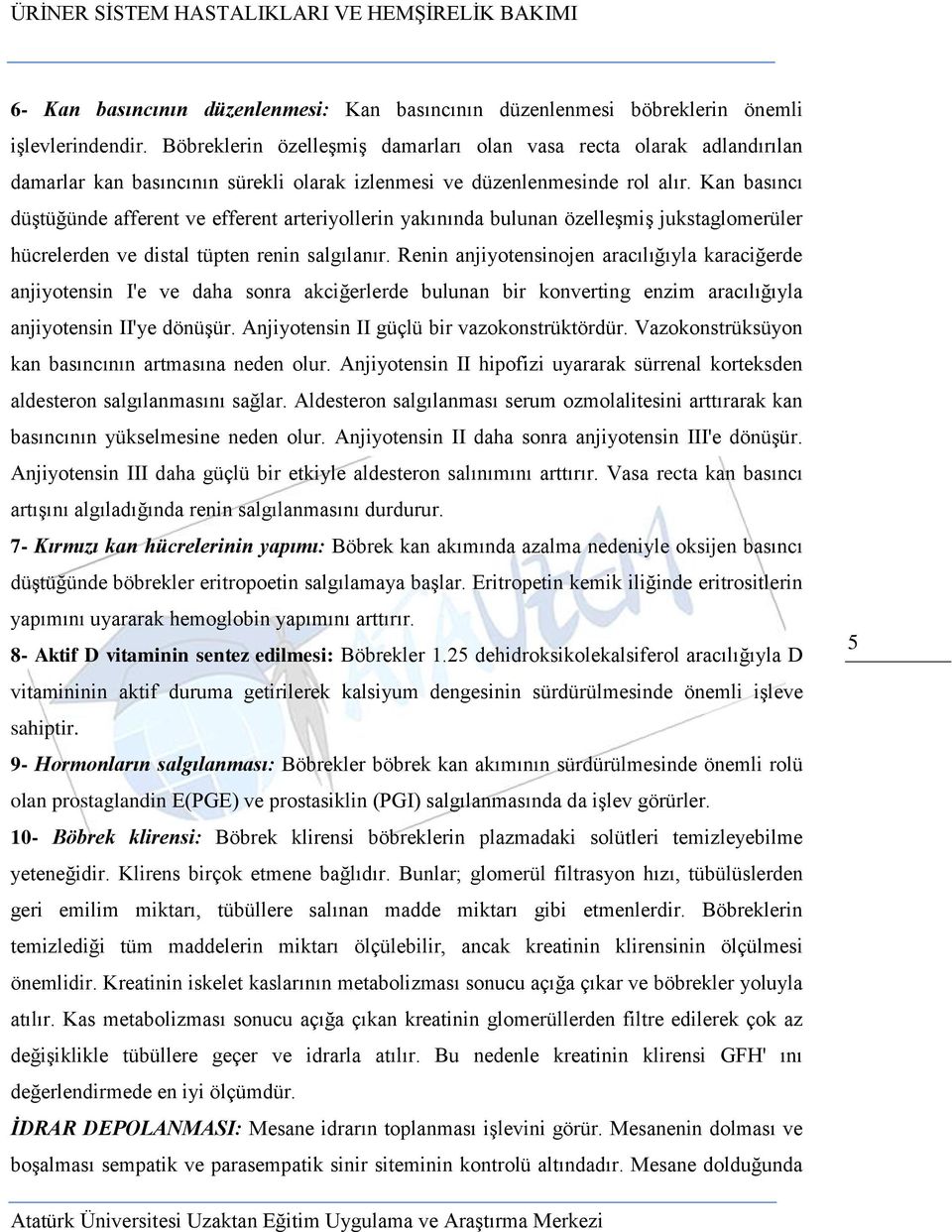 Kan basıncı düştüğünde afferent ve efferent arteriyollerin yakınında bulunan özelleşmiş jukstaglomerüler hücrelerden ve distal tüpten renin salgılanır.