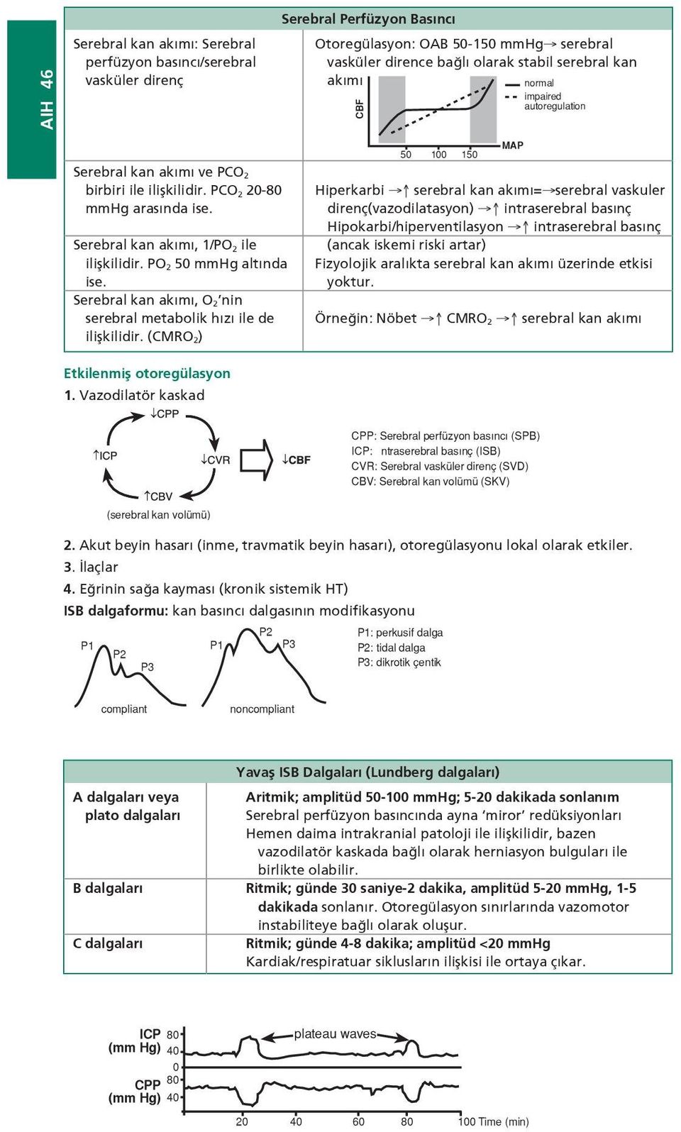 PO2 50 mmhg altında ise. Serebral kan akımı, O2 nin serebral metabolik hızı ile de ilişkilidir.