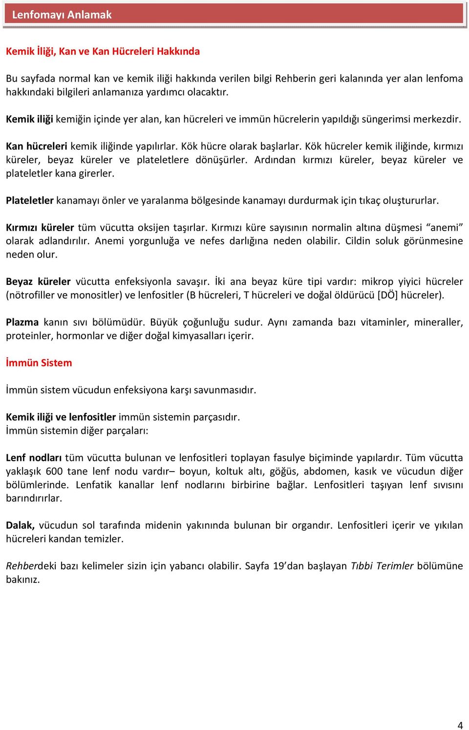 Kök hücreler kemik iliğinde, kırmızı küreler, beyaz küreler ve plateletlere dönüşürler. Ardından kırmızı küreler, beyaz küreler ve plateletler kana girerler.