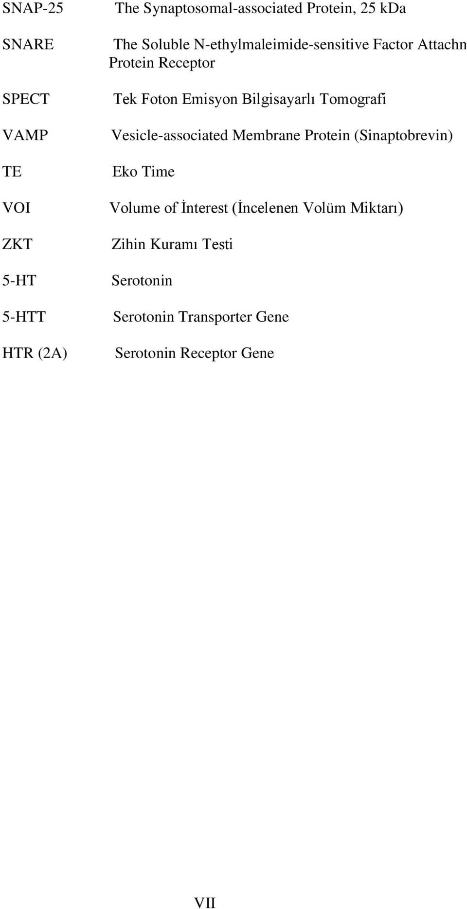 Bilgisayarlı Tomografi Vesicle-associated Membrane Protein (Sinaptobrevin) Eko Time Volume of
