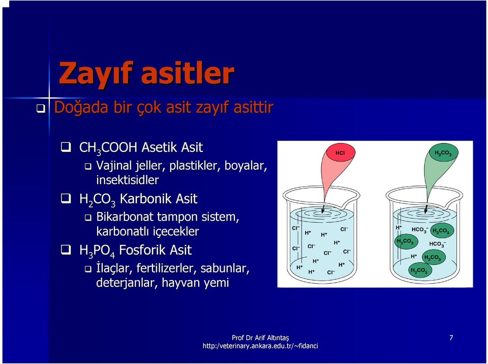 arbonik Asit Bikarbonat tampon sistem, stem, karbonatlı içecekler H PO 3 4 Fos