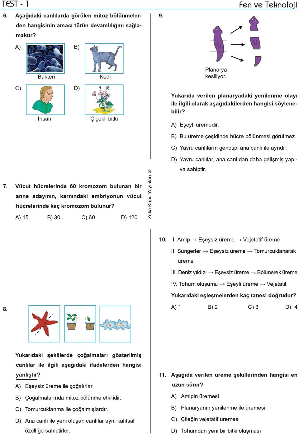 C) Yavru canlıların genotipi ana canlı ile ayndır. 7. Vücut hücrelerinde 60 kromozom bulunan bir anne adayının, karnındaki embriyonun vücut hücrelerinde kaç kromozom bulunur?