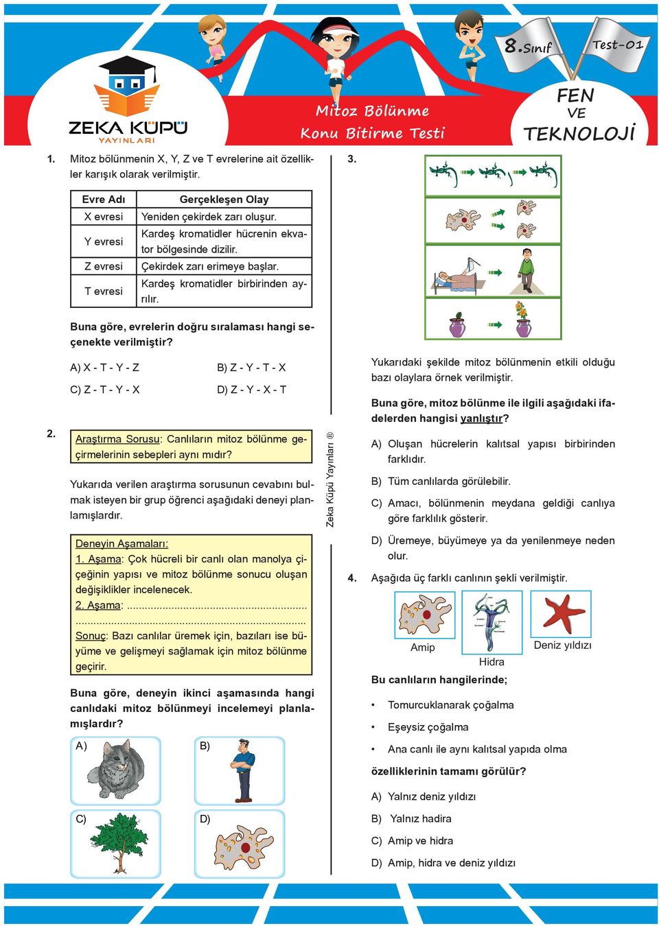 Kardeş kromatidler birbirinden ayrılır. Buna göre, evrelerin doğru sıralaması hangi seçenekte verilmiştir? 2.