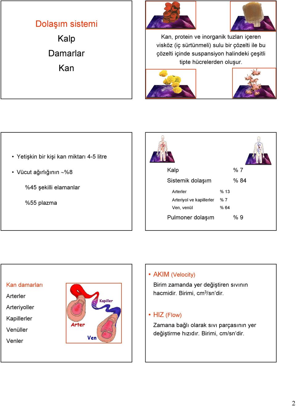 Yetişkin bir kişi kan miktarı 4-5 litre Vücut ağırlığının %8 %45 şekilli elamanlar %55 plazma Kalp % 7 Sistemik dolaşım % 84 Arterler % 13 Arteriyol ve kapillerler