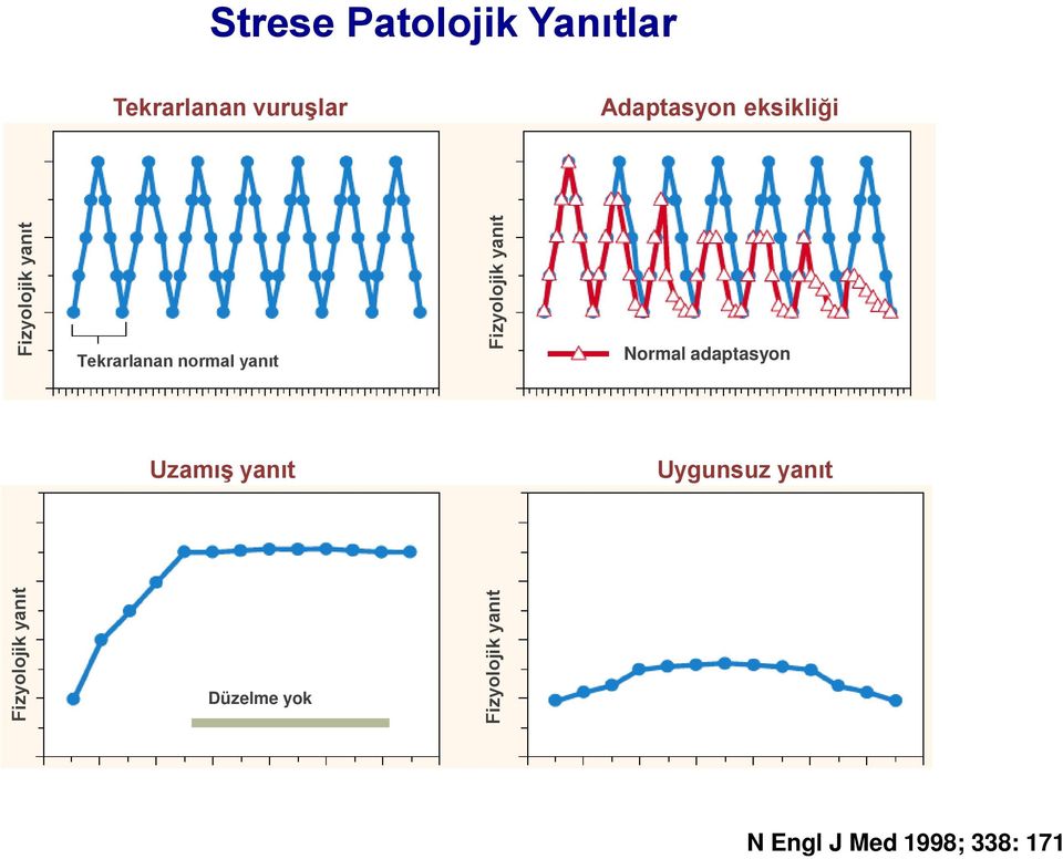 Fizyolojik yanıt Normal adaptasyon Uzamış yanıt Uygunsuz