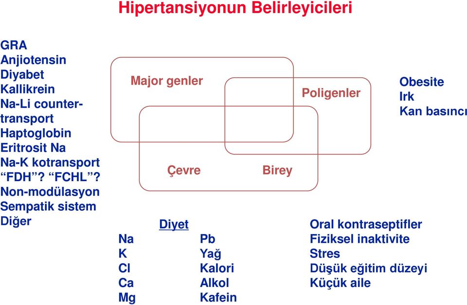 Non-modülasyon Sempatik sistem Diğer Major genler Çevre Diyet Na Pb K Yağ Cl Kalori Ca