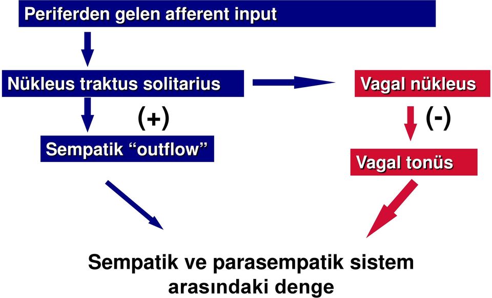 (-) Sempatik outflow Vagal tonüs