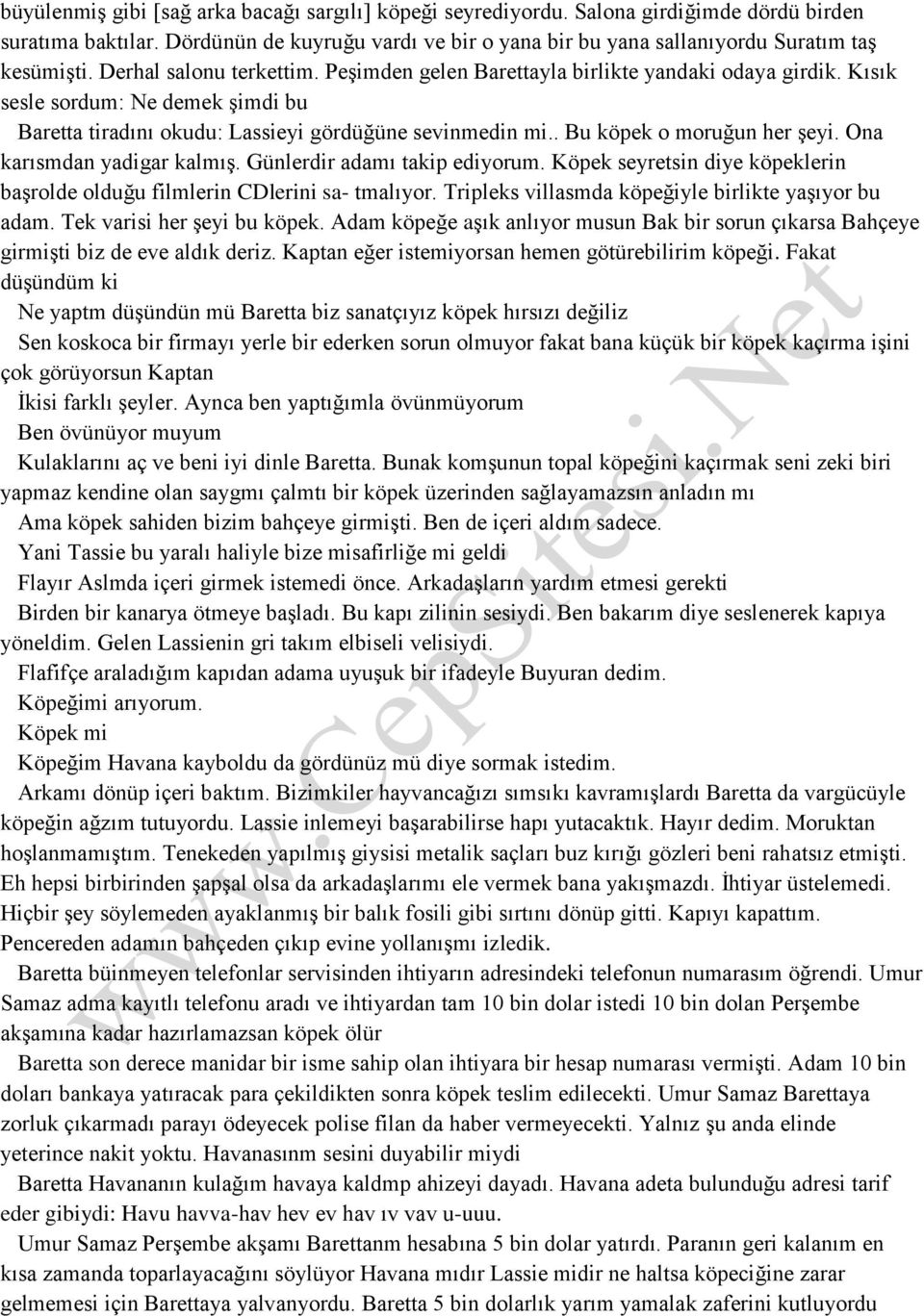 . Bu köpek o moruğun her şeyi. Ona karısmdan yadigar kalmış. Günlerdir adamı takip ediyorum. Köpek seyretsin diye köpeklerin başrolde olduğu filmlerin CDlerini sa- tmalıyor.