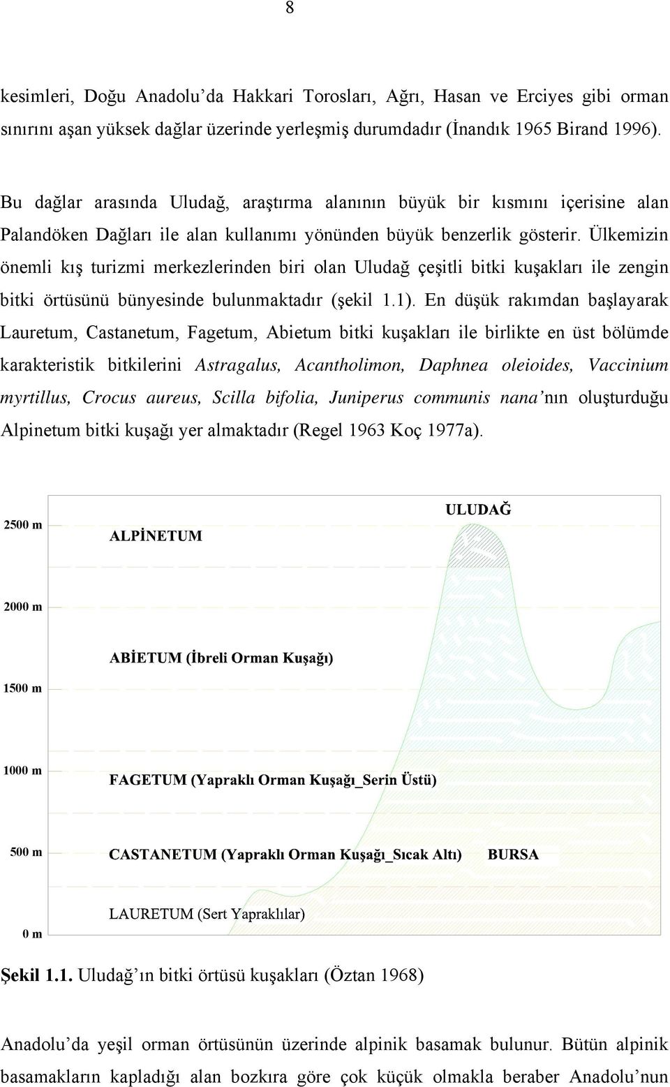 Ülkemizin önemli kış turizmi merkezlerinden biri olan Uludağ çeşitli bitki kuşakları ile zengin bitki örtüsünü bünyesinde bulunmaktadır (şekil 1.1).