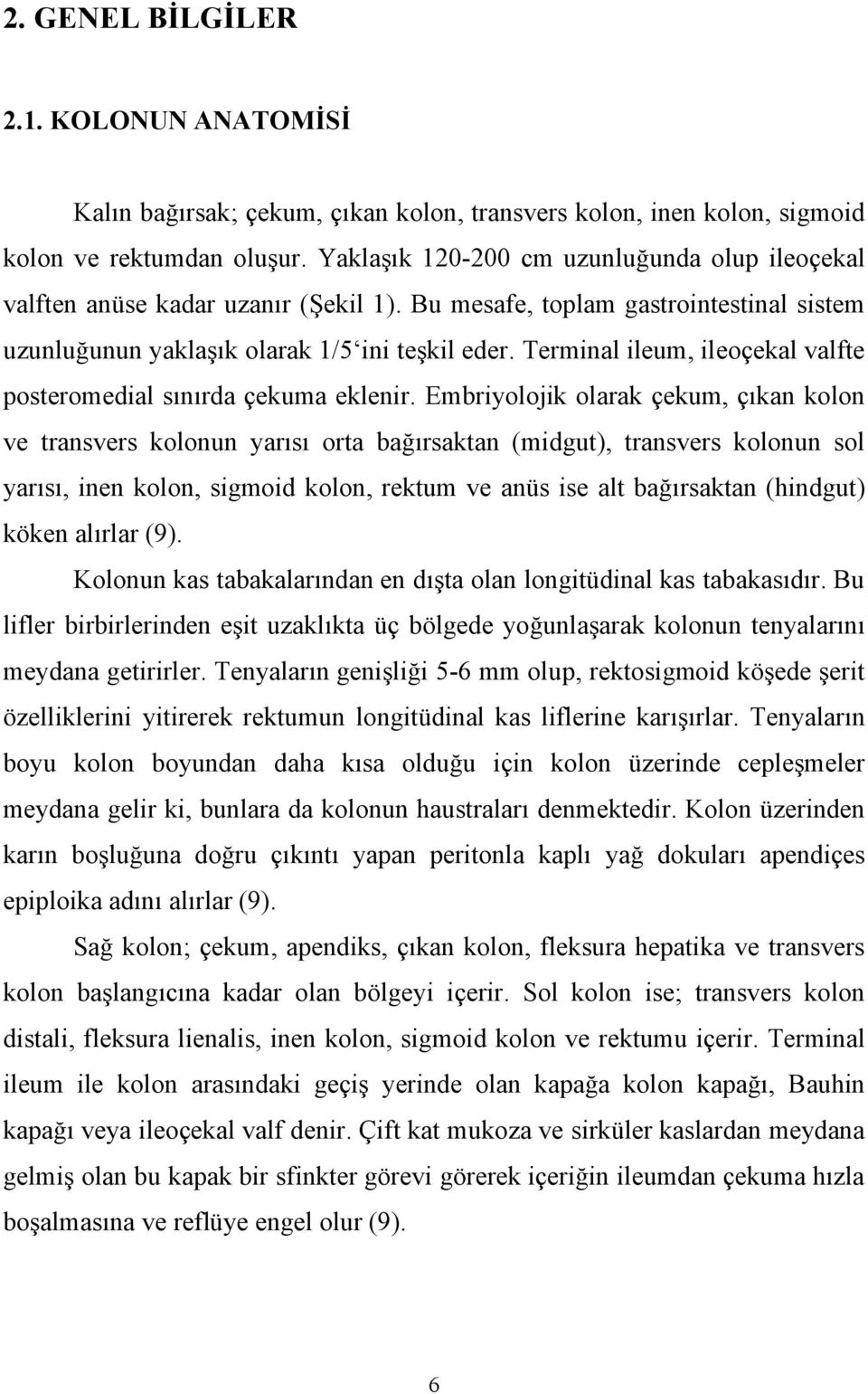 Terminal ileum, ileoçekal valfte posteromedial sınırda çekuma eklenir.