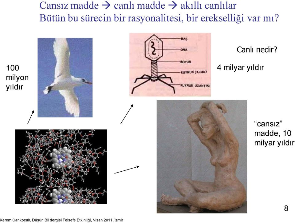 erekselliği var mı? Canlı nedir?