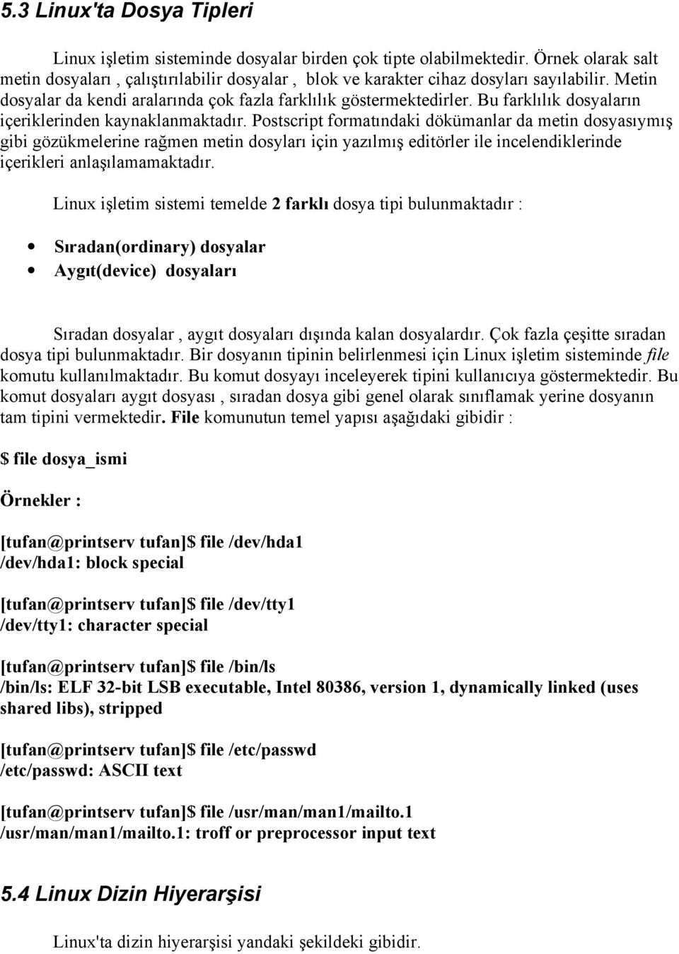 Postscript formatındaki dökümanlar da metin dosyasıymış gibi gözükmelerine rağmen metin dosyları için yazılmış editörler ile incelendiklerinde içerikleri anlaşılamamaktadır.