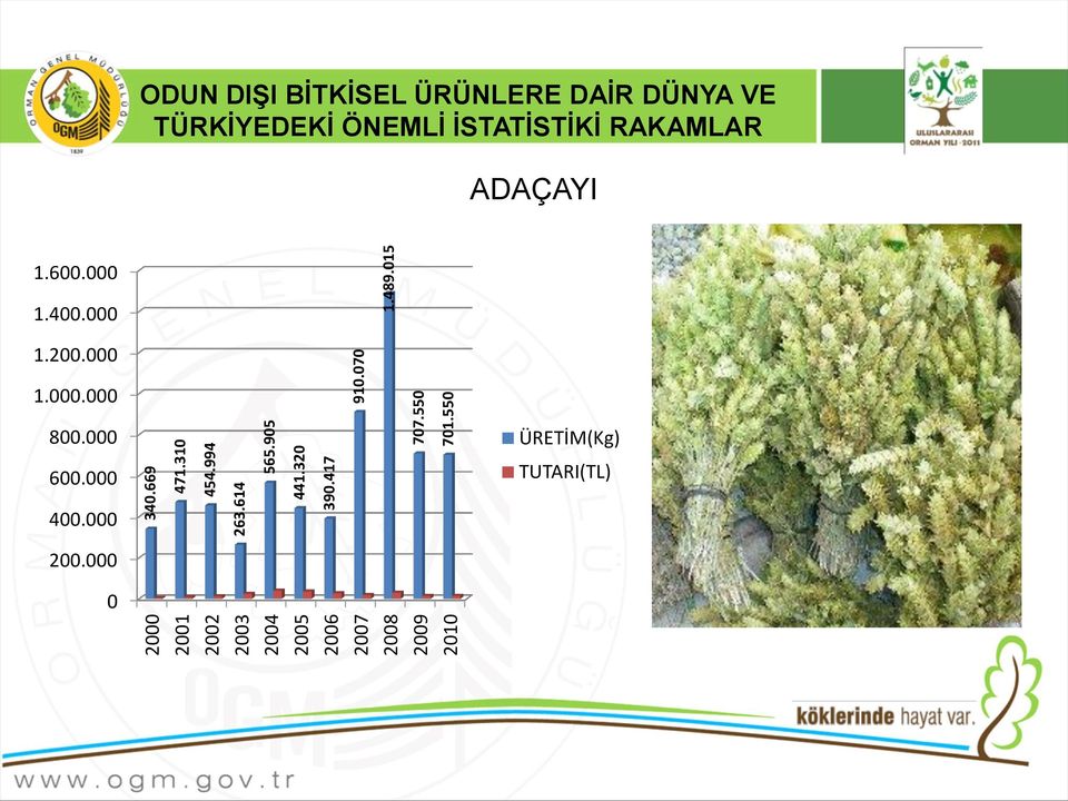 015 ODUN DIŞI BİTKİSEL ÜRÜNLERE DAİR DÜNYA VE TÜRKİYEDEKİ ÖNEMLİ İSTATİSTİKİ RAKAMLAR